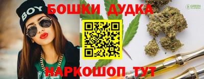 спайс Аша
